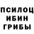 Галлюциногенные грибы Psilocybine cubensis Khoren Movsisyan