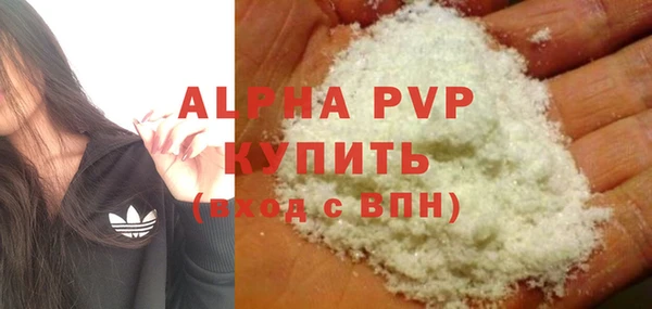 бошки Белокуриха