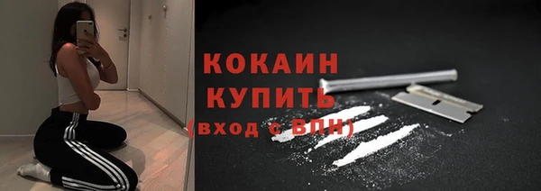 бошки Белокуриха