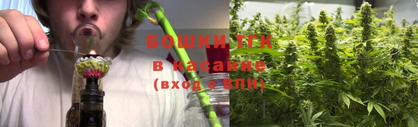 бошки Белокуриха