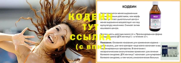 бошки Белокуриха